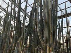 -南通洲际绿博园