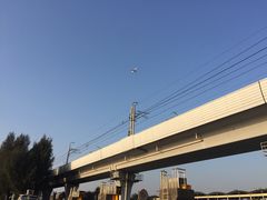 -宝安西湾红树林湿地公园