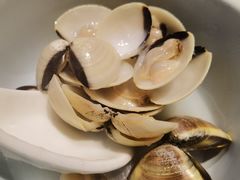 白贝下火锅-大良毋米粥(锦龙路总店)