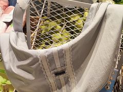 -The Green Party(嘉里中心店)