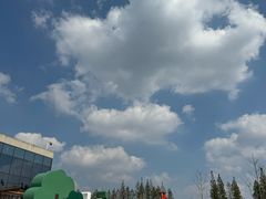 -黄海国家森林公园