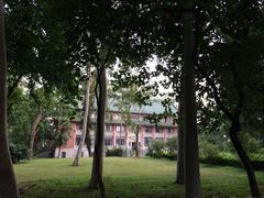 -中山大学学者灵芝(园南路店)
