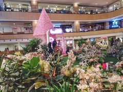 -查特花园美食广场(西单大悦城店)