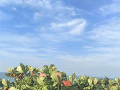 -三亚西岛海洋文化旅游区