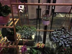 -九鼎轩脆毛肚火锅(金坛吾悦广场店)