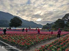 -广州市石门国家森林公园