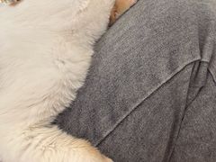 -平行世界·猫咖(首经贸店)
