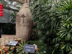 -北京植物园-展览温室