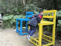 -桂林古东瀑布景区