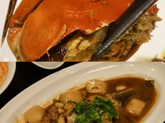 -郑州建业艾美酒店