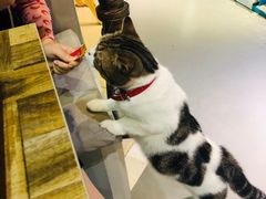 -小时光咖啡馆(开森度假森林店)