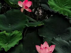 -烈士陵园(地铁站)