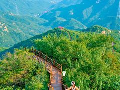 -大岭沟猕猴桃谷风景区