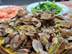 辣炒蛤蜊-人和啤酒屋海鲜大排档(营口路店)