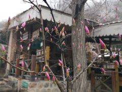 -北京水岸山吧度假村(雁栖镇店)