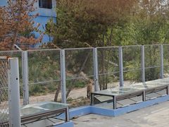 -青藏高原野生动物园