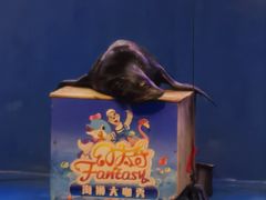 -太奥幻太奇海洋馆