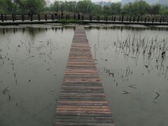 -长兴太湖图影湿地文化园