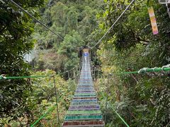 -海南槟榔谷黎苗文化旅游区