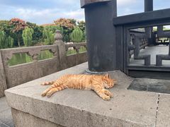 -南通濠河风景名胜区