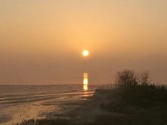 -烟墩角天鹅湖