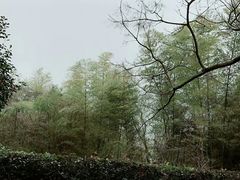 -天目湖涵田半山温泉
