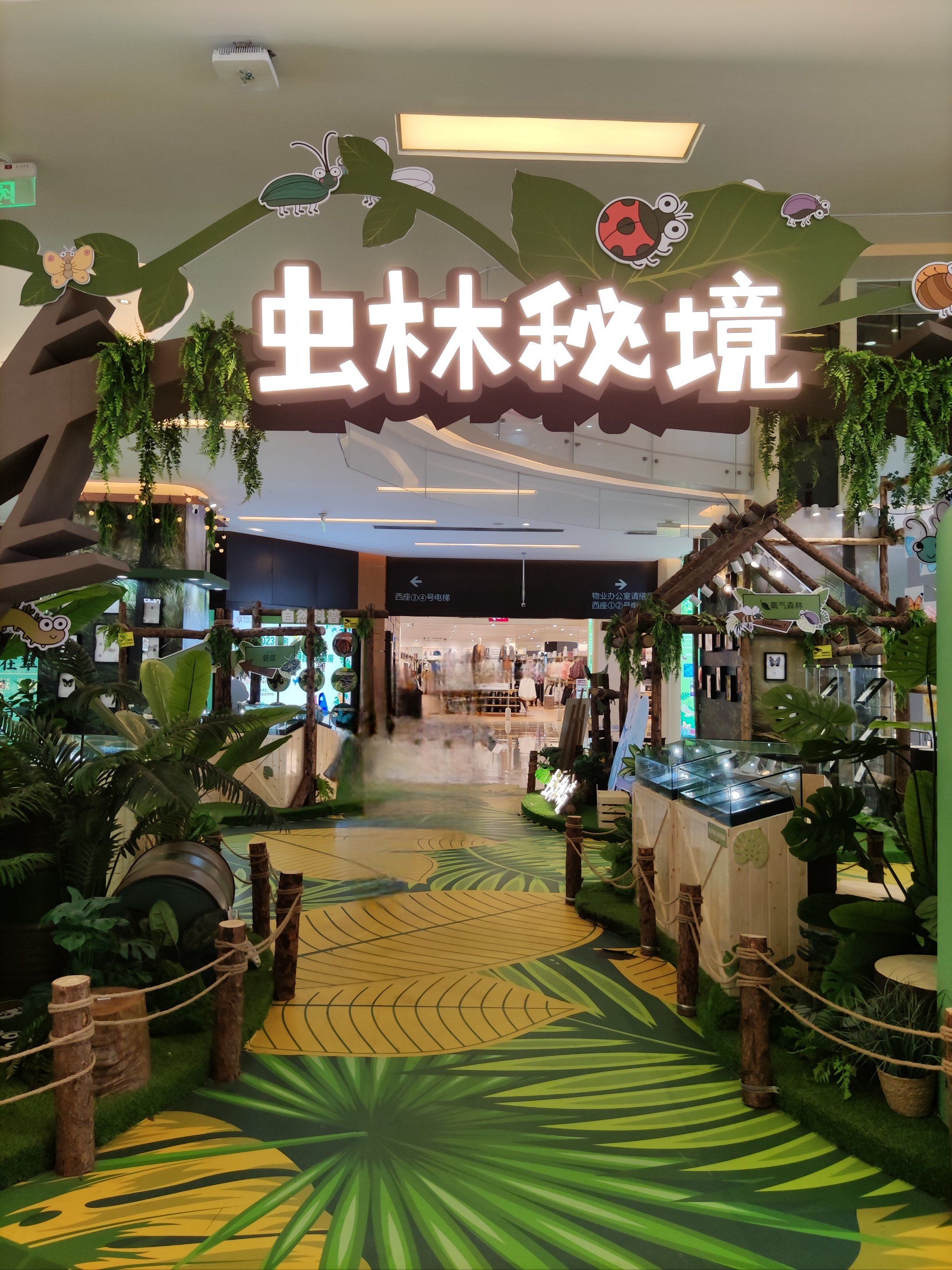紫荆广场一楼和四楼的虫林秘境,展出了来自世界各地的蝴蝶和其它昆虫