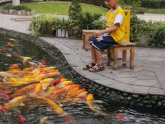 -成飞公园