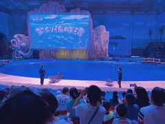 -华夏文旅海洋公园