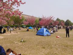 -古柏渡飞黄旅游区