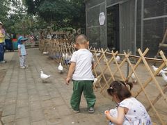 -1982农场