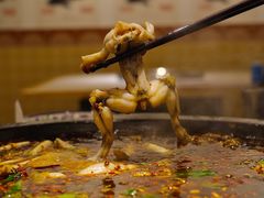 -费明中罗非鱼(大石坝店)
