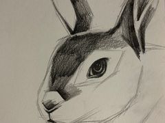 -东方童画少儿美术(莘庄体验馆)