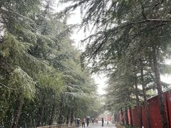 -洛阳白马寺