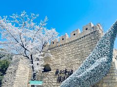 -淹城春秋乐园