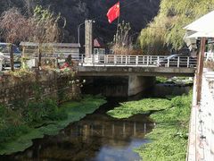 -Local泰莲庭(虹鳟鱼店)