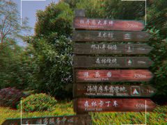 -上海海湾国家森林公园