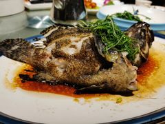 活老虎斑-琼菜王(南海店)