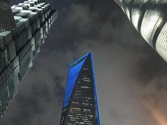 -上海柏悦酒店·世纪100牛排馆