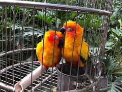 -南宫五洲植物乐园