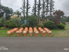 -上海长兴岛郊野公园