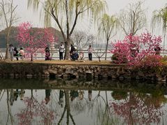 -无锡蠡湖国家湿地公园-蠡园