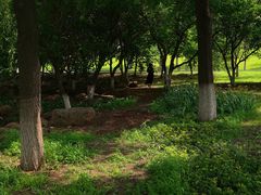 -长春世界雕塑园冰雪艺术天地