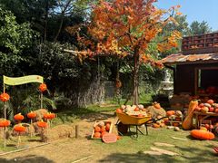 -HERRE·FARM 赫尔露营农场·团建聚会包场