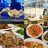 🌊🐬 打卡最鲜美的海鲜盛宴！你绝对不能错过！🐚🍤  