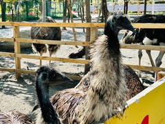 -水上乐园·欢乐世界