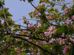 -天津市第三中心医院