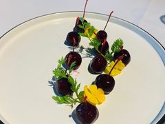 -禧宴Joyous Restaurant(禧园店)