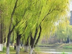 -江南大学(蠡湖校区)