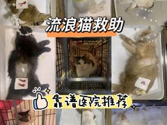 -瑞派·关忠动物医院(国瑞店)